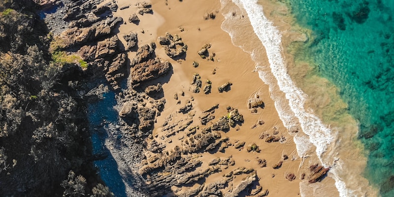 Humanoid robots performing choreographed routines at China's Spring Festival Gala